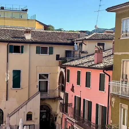 Betteloni 바르돌리노